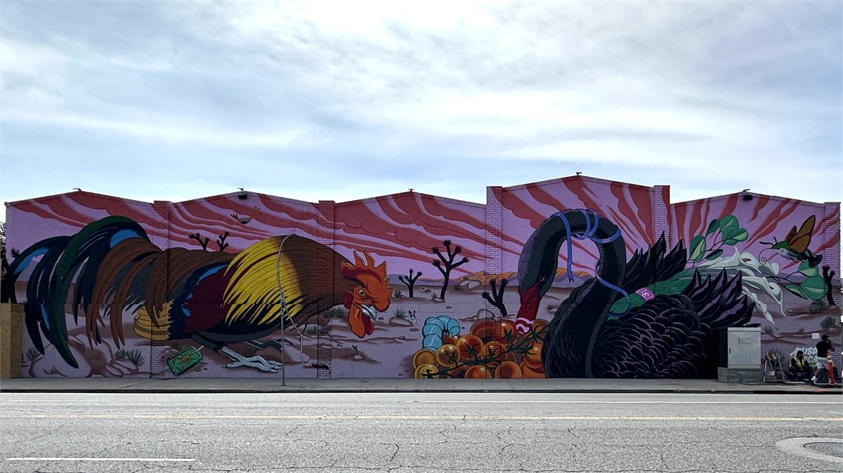 Completed mural featuring birds across a Downtown Ontario wall