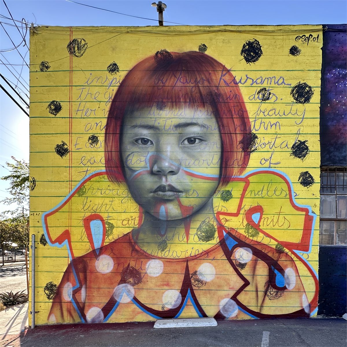 Completed portrait mural on a yellow wall in Downtown Ontario